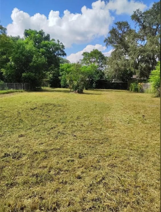 E Linebaugh Ave